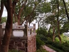 -上海市保健医疗中心