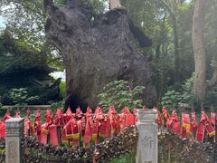 -台州府城(江南长城)