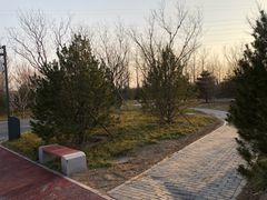 -东郊湿地公园