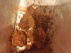 -轻烧烤肉(光谷步行街店)