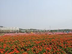 -盈香心动乐园