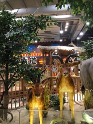 -鲁比猴非洲探索部落(喜盈门店)