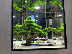 -三煮纸包鱼(青岛总店)