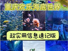 -重庆欢乐海底世界