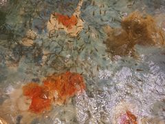 -东方之珠洗浴休闲广场(大港店)