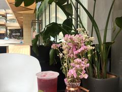 树夏杨梅-树夏(鹭洲里店)