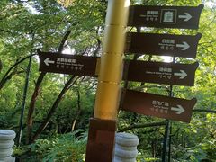 -黄鹤楼