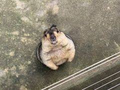 -云南野生动物园
