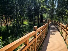 -北京大葆台遗址博物馆