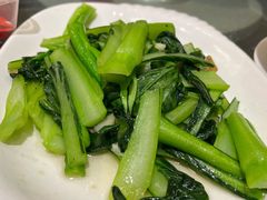 猪油渣菜心-美极鲜食坊(宝安南路店)