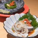  被胖鼓鼓的河豚鱼吸引