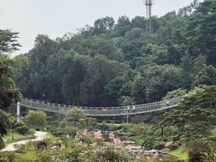 -东莞植物园
