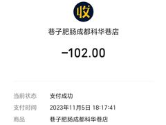 -巷子肥肠(科华巷店)