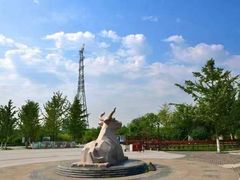 -永定河休闲森林公园