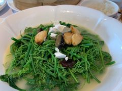 上汤龙须菜-老伙记海鲜码头(北滘店)
