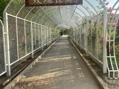 -太阳宫公园