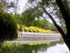 -大望京公园