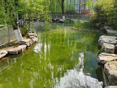 -黄村公园