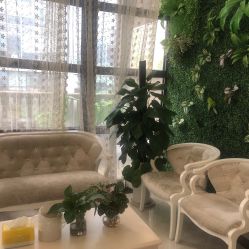 -苗医生草本科技祛痘