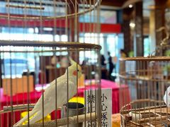 大堂-那家小馆•北京菜•烤鸭(香山店)