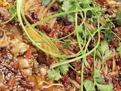 -鸿顺老铁锅美蛙鱼府(解放碑店)