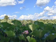 -长春市南湖公园