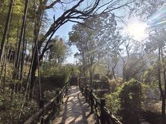 -方岩风景区