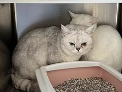 -宠颐生宠物医院·骨外科·犬猫全科诊疗中心(池州店)