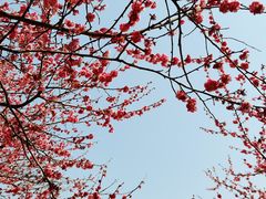 -白塘生态植物园