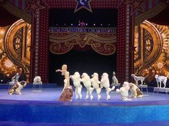 -珠海横琴长隆《卡卡虎奇遇记》