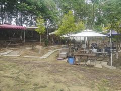 -紫颐香薰山谷景区