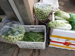 -岳各庄批发市场(西四环中路店)