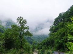 -陕西省红河谷森林公园