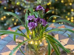 -一品格美术·中考高中成人美术培训