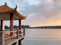 -东郊椰林