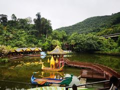 -西双版纳原始森林公园