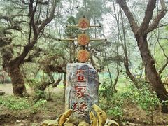 -北海金海湾红树林生态旅游区