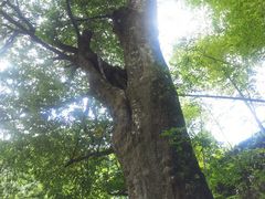 -太湖源风景区
