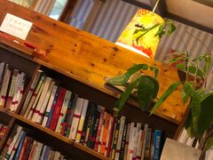 -猫的天空之城概念书店(西塘古镇店)