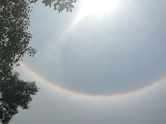 -南宁良凤江国家森林公园