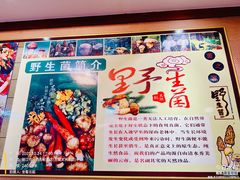 -菌之家·专业纯野生菌火锅·特色炒菌
