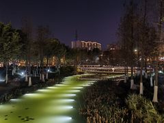 -映月湖公园