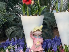 -石家庄市植物园