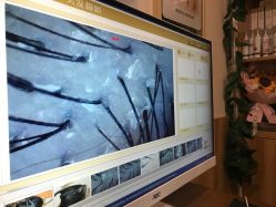 -丝客富脱发养发头皮馆