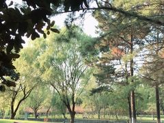 -中央公园(苏州工业园区)