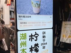 -猫的魔法密林(衣裳街店)