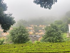 -杨家堂村