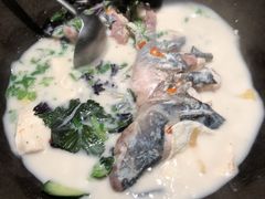 -鲜潭蒸汽石锅鱼(五道口购物中心店)