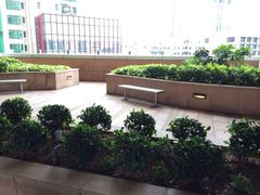 空中花园-香港尖沙咀凯悦酒店