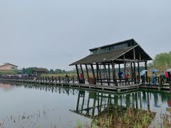 -溱湖国家湿地公园